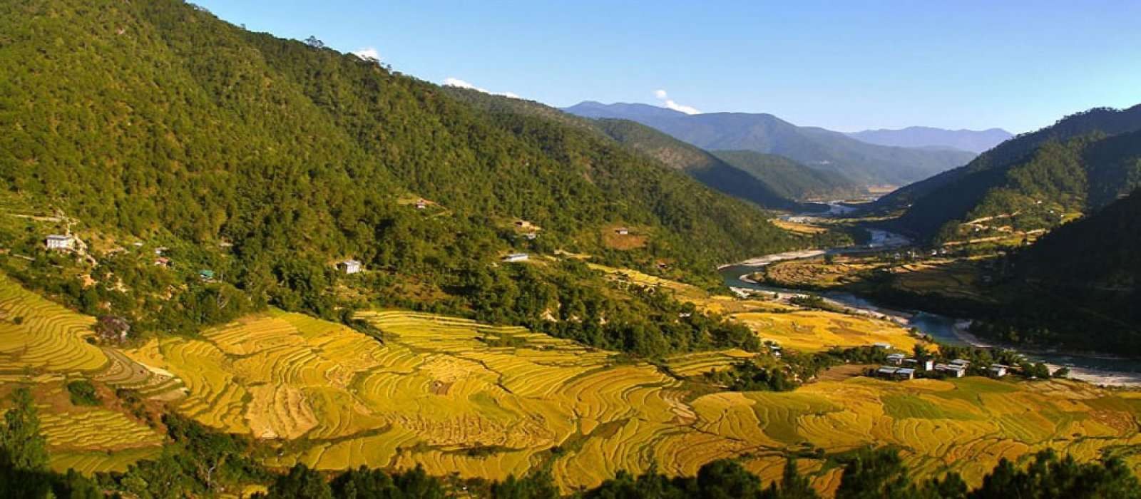 Punakha Winter Trek